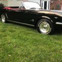 1965 FORD MUSTANG 289 V8 AUTO - MATCHING NUMBER -  NO RESERVE BID TO WIN!!!