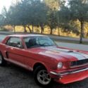 1965 Ford Mustang Shelby G.T. 350 Tribute (video)