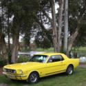 1965 Ford Mustang True GT A Code Rebuilt 289 Match #s New 5 spd trans AC PS DB