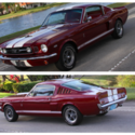 1965 Mustang Fastback Shelby Cobra GT 350 Tribute AC Professional Rotisserie