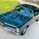 1965 Pontiac GTO - Tri-Power - 4 Speed - Show Quality - PHS Documentation
