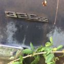 1965? Pontiac Lemans - Barn Find