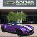 1965 Replica/Kit BackDraft Racing 427 Shelby Cobra Replica 1 of 1 Produced!