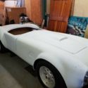 1965 shelby cobra replicia
