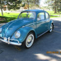 1965 Volkswagen Beetle / bug