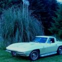 1966 Corvette Coupe 427-425HP Beautiful Unrestored Corvette W/Protecto-Plate!!