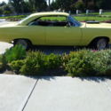 1966 FORD FAIRLANE GT 427 HIGH RISER TREMEC TKO 600 5 SPD 9&quot; 4:11 POSI