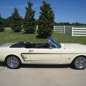1966 Ford Mustang Convertible 289 V8 Auto w/ Powersteering & Pony Interior