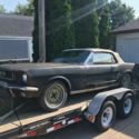 1966 Ford Mustang Convertible Deluxe Pony Interior 1965 1964 64 65 66