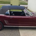 1966 Ford Mustang Convertible - New Professional Rotisserie Restoration
