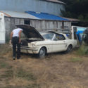 1966 Ford Mustang Convertible, project car in restorable condition