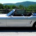 1966 Ford Mustang convertible, unrestored, 66,xxx miles