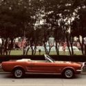 1966 Ford Mustang Covertible MUST SEE
