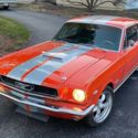 1966 Ford Mustang Custom Paint