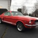 1966 Ford Mustang Fastback (GT Clone). FREE SHIPPING in US or FREE Plane ticket