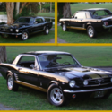 1966 Ford Mustang GT 350 Hertz Shelby Cobra Tribute 302 4 Barell PS AC DiscBrake
