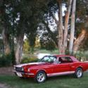 1966 Ford Mustang Shelby Cobra GT 350 Resto Mod Tribute 302 Engine Automatic