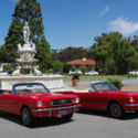 1966 Ford Mustang V8 289 Convertible New Engine Trans Paint Interior Tires