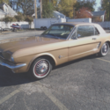 1966 MUSTANG  ALMOST A SHOW CAR BUT A DAILEY DRIVER NR......$3750.00