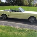 1966 mustang convertible 289