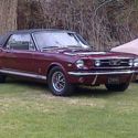 1966 Mustang GT K Code Vehicle with Dealer Installed Paxton Super Charger