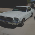 1966 Mustang Pony Interior - NOS 1995 5.0 High Output Engine