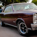 1966 Pontiac GTO 4 Speed true 242 Matching Numbers Protect-O Plate PHS documents