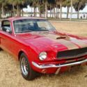 1966 Shelby GT350 Hertz Fastback 289K Matching Numbers 66 GT 350 GT350H FB