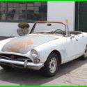1966 Tiger 260 V8 NO RESERVE!!
