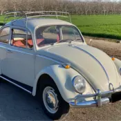 1966 Volkswagen Beetle White