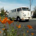 1966 Volkswagen bus, van, westfalia, california, surf bus, 30 years gone, tintop