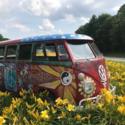 1966 Volkswagen HIPPIE BUS, reilable, videos in ad