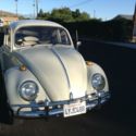 1966 vw bug Pigalli original 6volt runs great looks great
