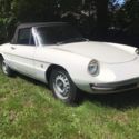 1967 Alfa Romeo Spider Duetto UNRESTORED !!!