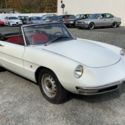 1967 Alfa Romeo Spider Duetto White Good Runner No Reserve
