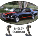 1967 Ford Mustang Elenor GT 500 Shelby Cobra Tribute
