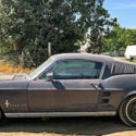 1967 Ford Mustang Fastback &#039;Barn FInd&#039; in Idaho