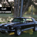 1967 Ford Mustang GT 500 Shelby Cobra Tribute Manual Prof Ground Up Resto AC