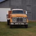1967 Ford Wheat Truck Custom Cab 600 Wheat Truck