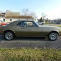 1967 gold on gold  Firebird