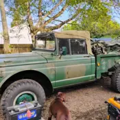 1967 Jeep Gladiator Green army