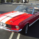 1967 Mustand Convertible GT350 Replica