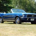 1967 mustang convertable v8 automatic very well taken care of rust free classic