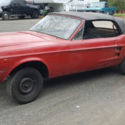 1967 Mustang Convertible V-8 clear title project, very solid