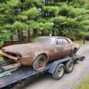 1967 Pontiac Firebird - Just Rescued!