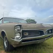1967 Pontiac GTO Brown  Matching Numbers
