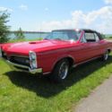 1967 Pontiac GTO Convertible 6.6L 400ci w 4-speed Mint condition # MATCHING RARE
