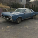 1967 Pontiac GTO GTO 6.5 Litre