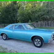 1967 Pontiac GTO Storage Find, Driving Project, NO RESERVE