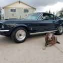 1967 Pro Street Ford Mustang Fastback, 600HP,4 speed,Vintage Street Hero,$26,900